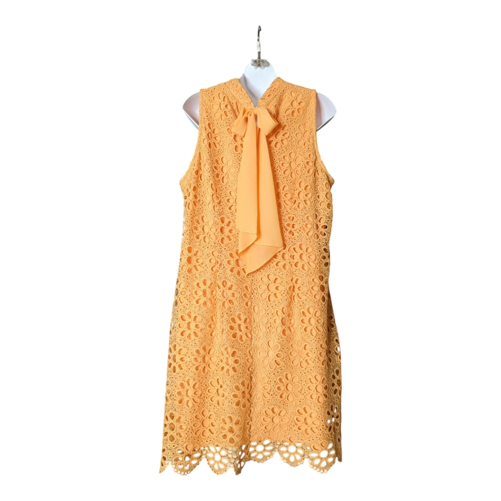 NWT Women's Robbie B lined Dress SZ 16 - Picture 3 of 5